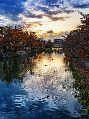 Kyoto Okazaki